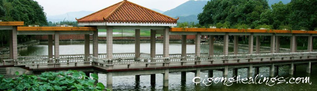 Are You Ready to Heal Yourself?